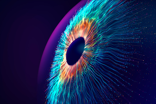 an eye constructed of coding neurons