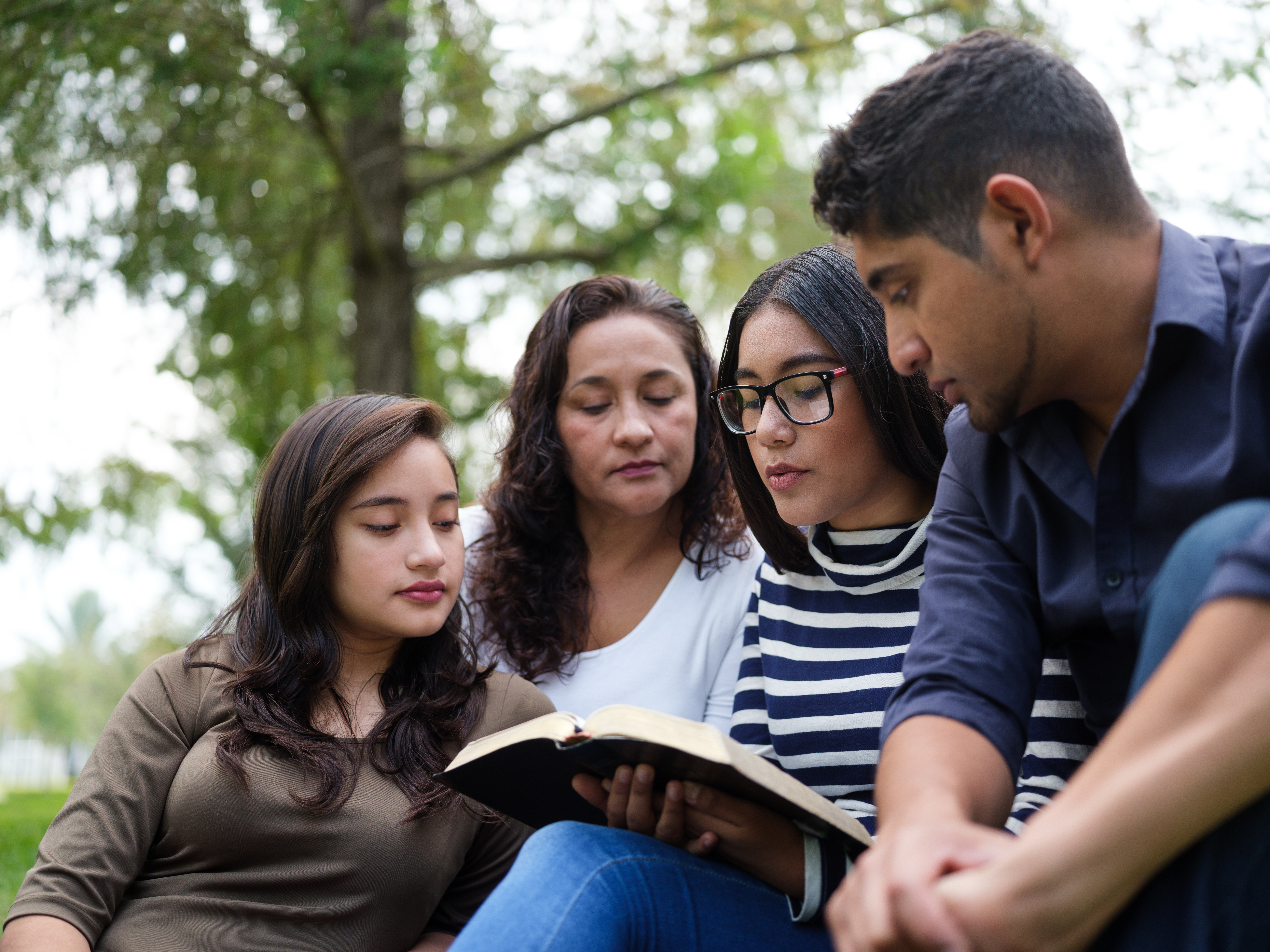 college students studying the Bible